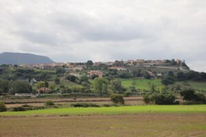 Ardara