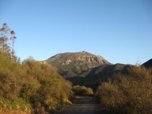 Assemini