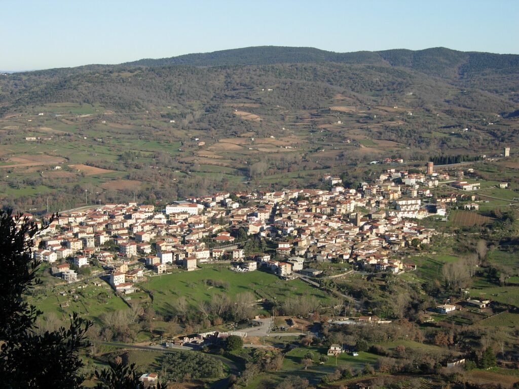 Panorama di Atzara visto dal monte Sa Costa, tra campi e vigneti del Mandrolisai