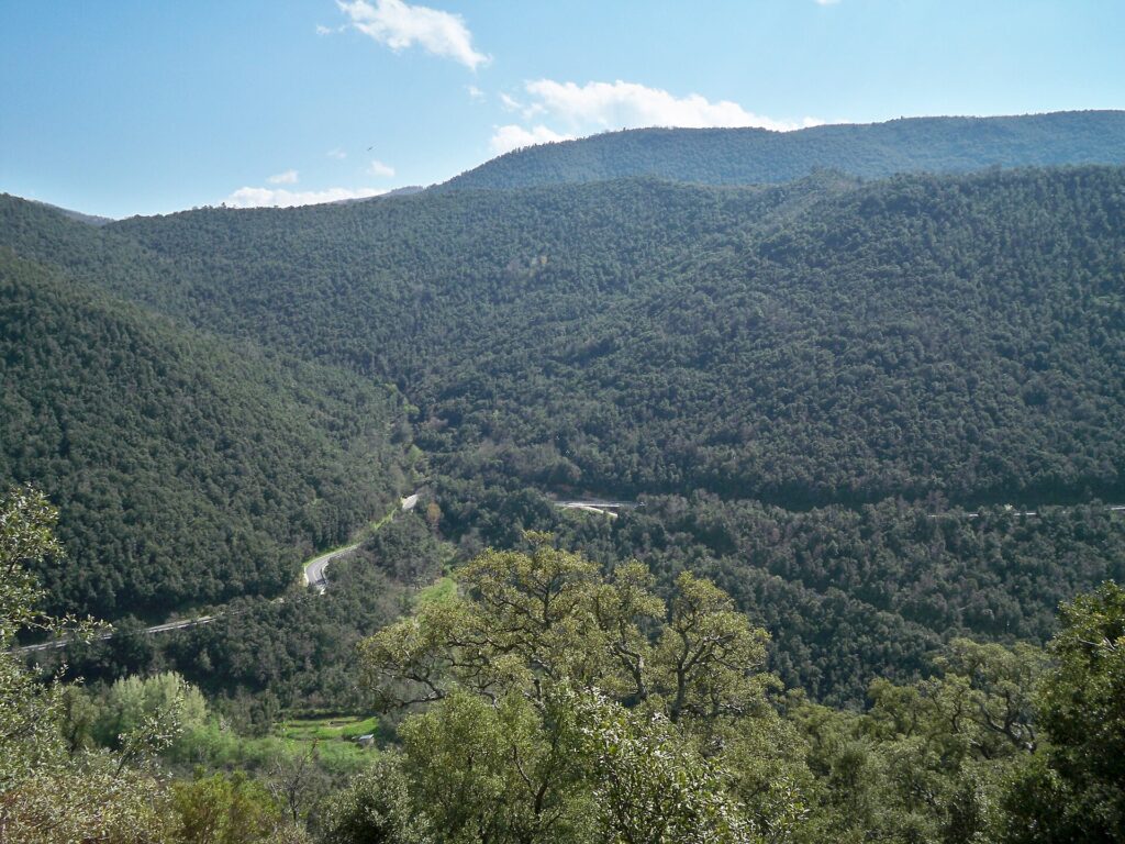 Colline coperte di boschi intorno a Tiana