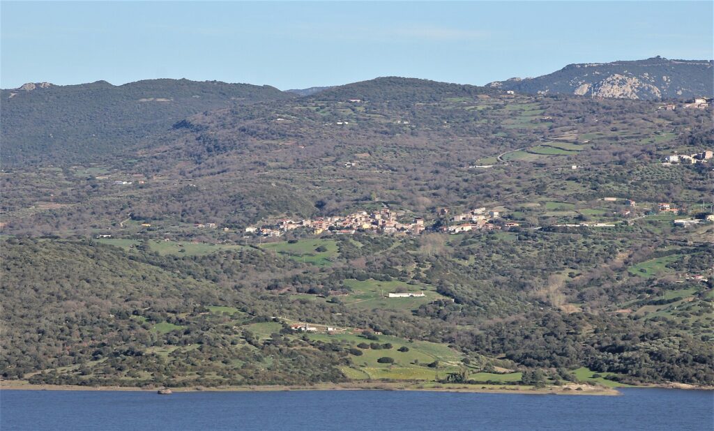 Bidonì, Sardegna