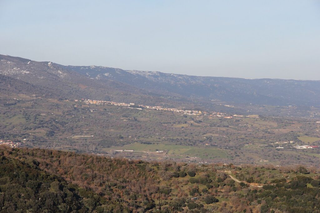 Bono, Sardegna