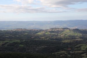 Erula