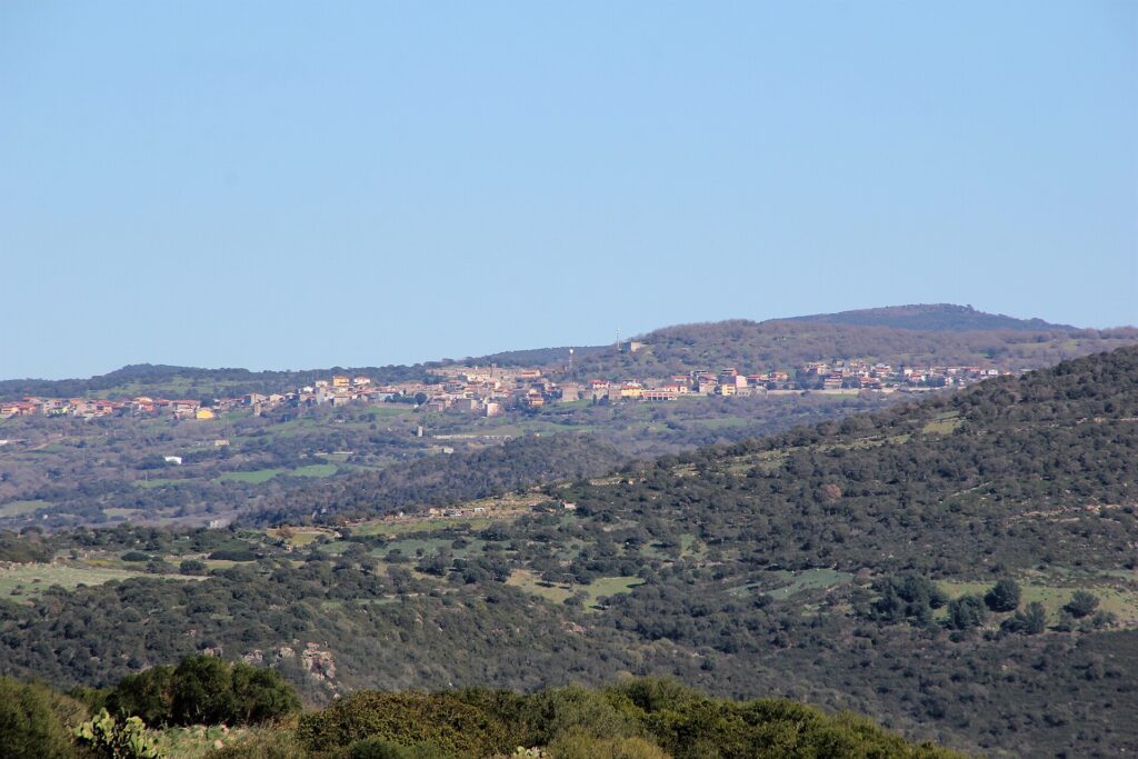 Neoneli, Sardegna