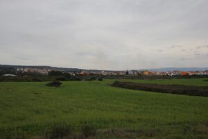 Olmedo
