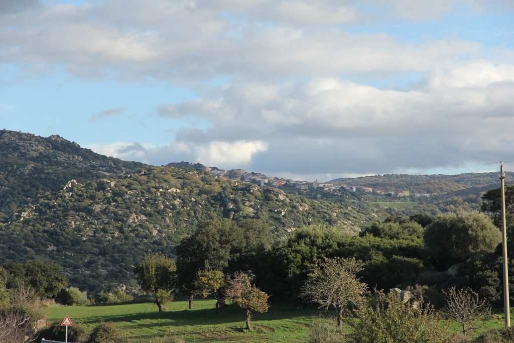 Sarule, Sardegna