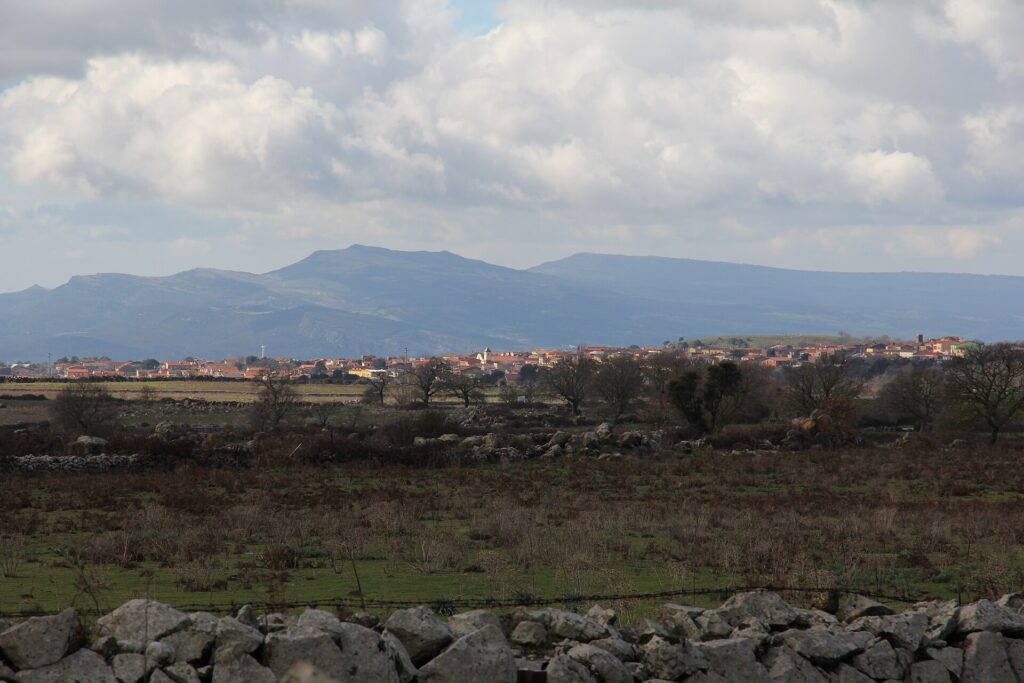 Sindia, Sardegna