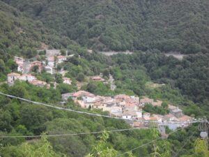 Tonara